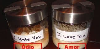 “Experimento com arroz”: o poder da positividade altera nosso mundo físico “Experimento com arroz”: o poder da positividade altera nosso mundo físico