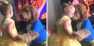 Menina e seu cãozinho recriam de forma mais que perfeita a cena de ‘A Bela e a Fera’ Menina e seu cãozinho recriam de forma mais que perfeita a cena de ‘A Bela e a Fera’