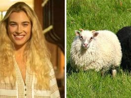 Atriz de ‘Pantanal’ usa termo considerado racista no programa ‘Encontro’ e é corrigida por Manoel Soares