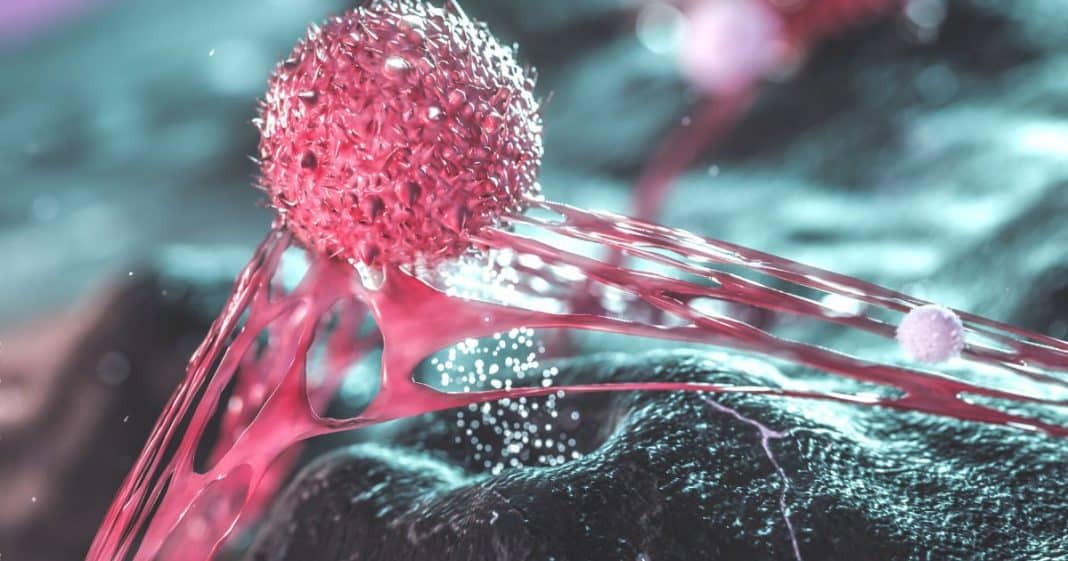 Cientistas descobrem célula capaz de destruir a maioria dos cânceres