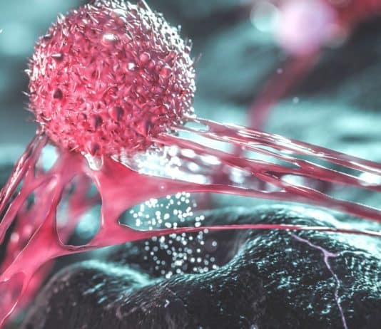 Cientistas descobrem célula capaz de destruir a maioria dos cânceres