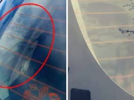 O rosto de Jesus apareceu no vidro do carro de uma mulher: “Nós lavamos, mas ainda está lá”